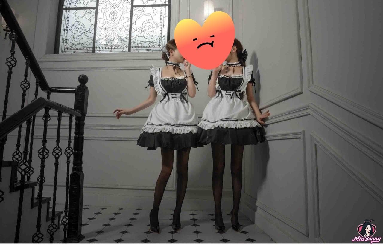 姐妹花a 3