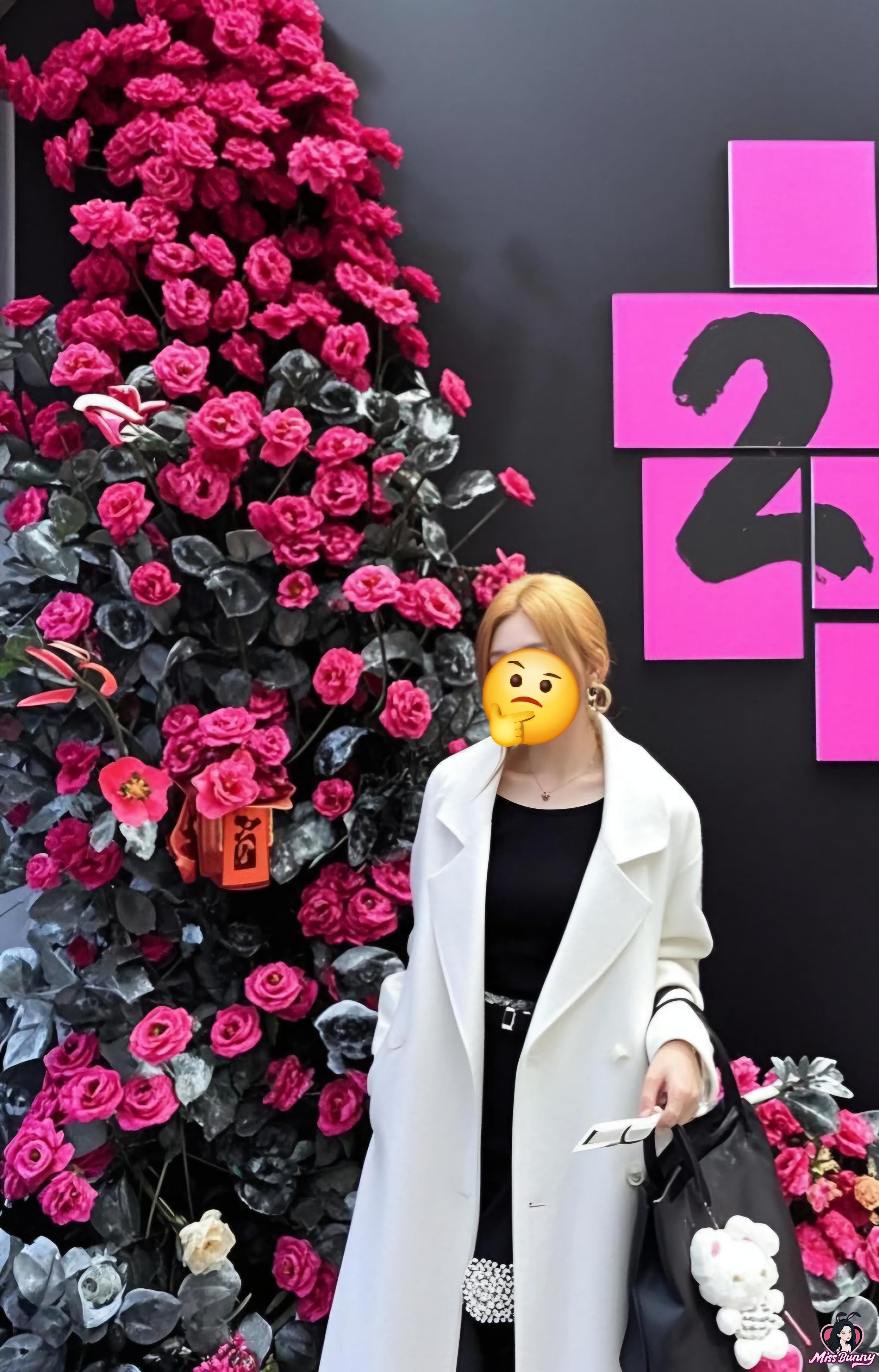 小海豚2 2
