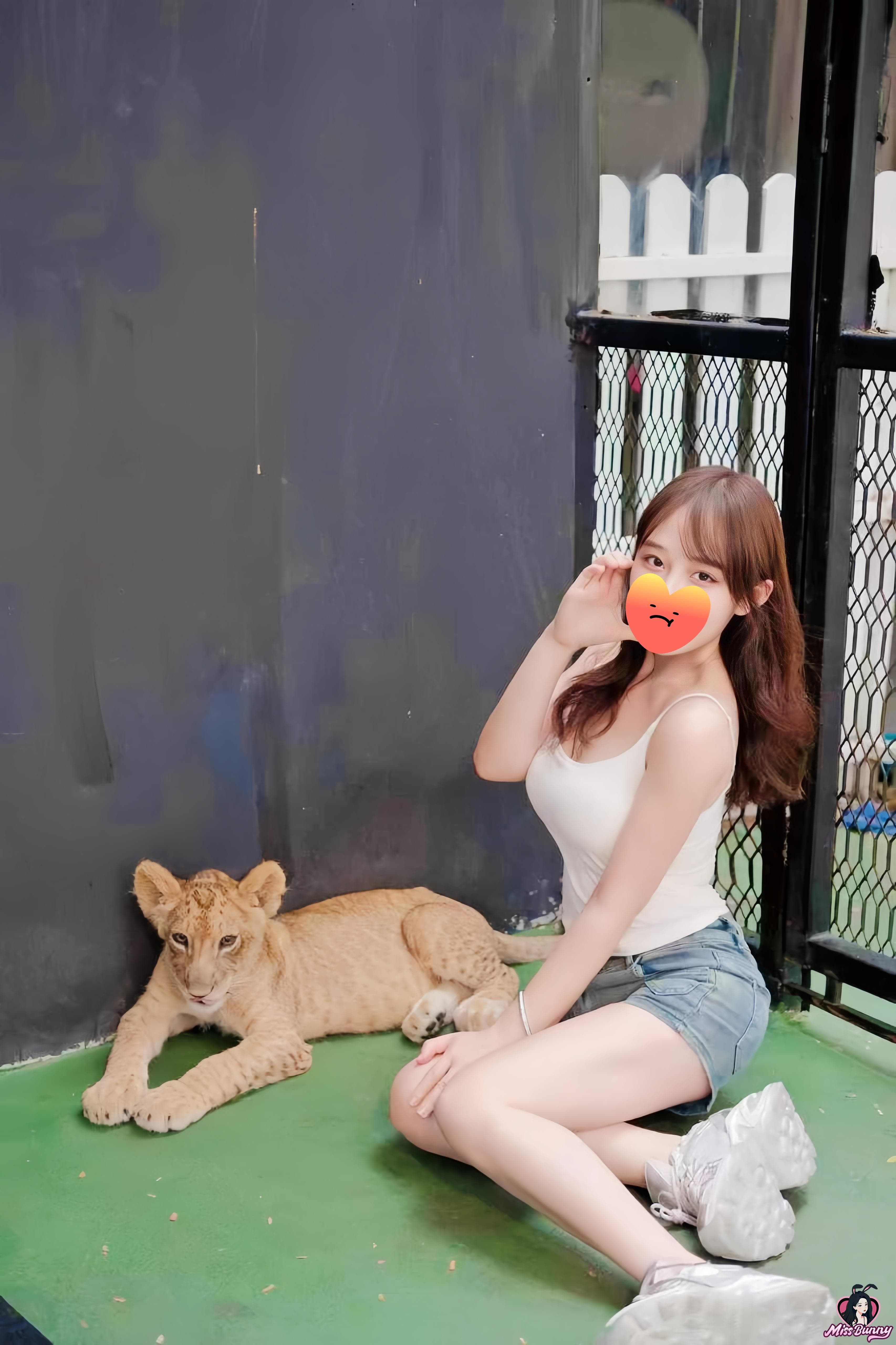 小企鹅 3