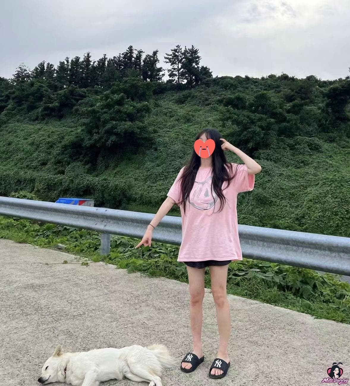 猫本小美 2