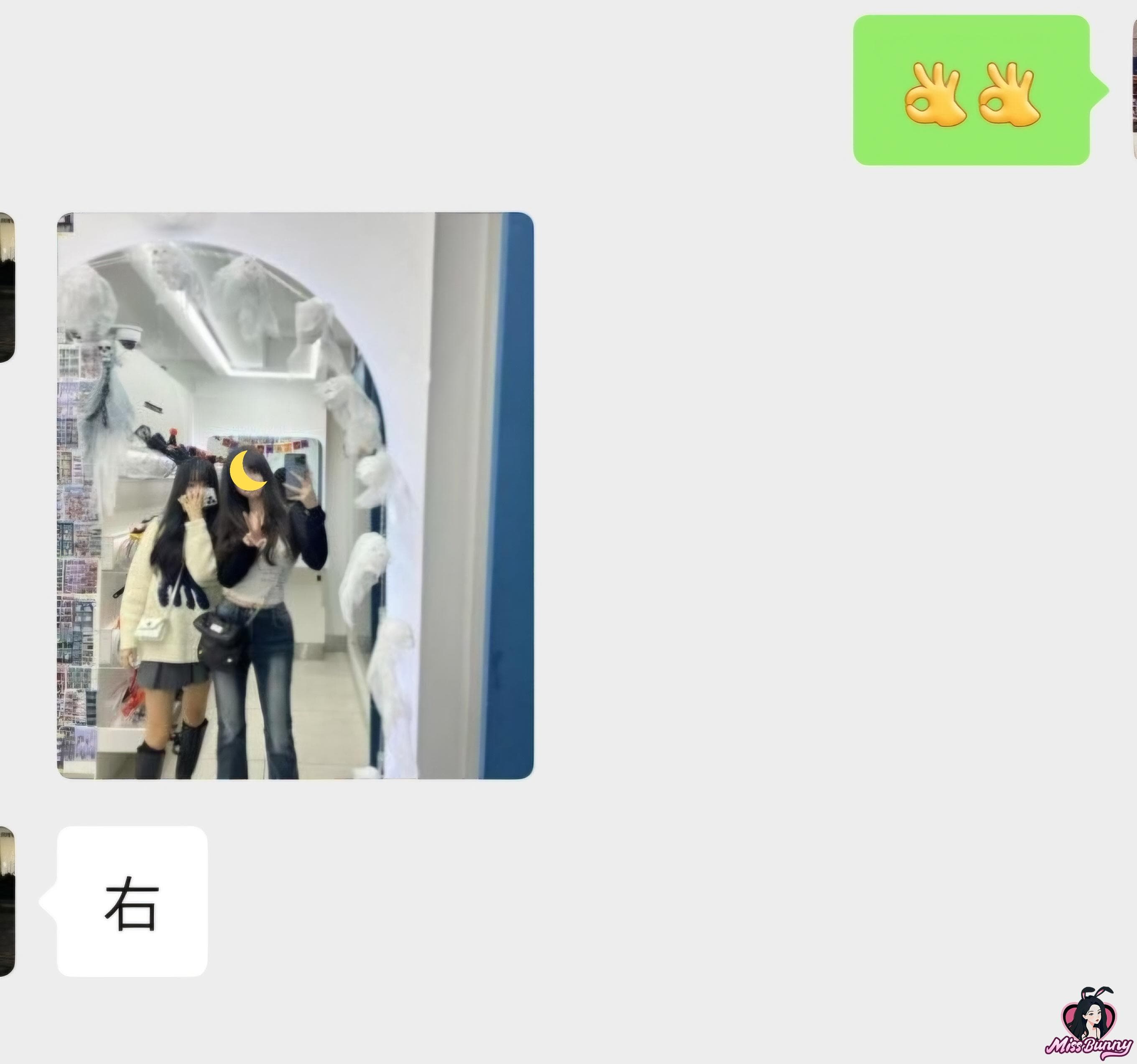猫本小美 3