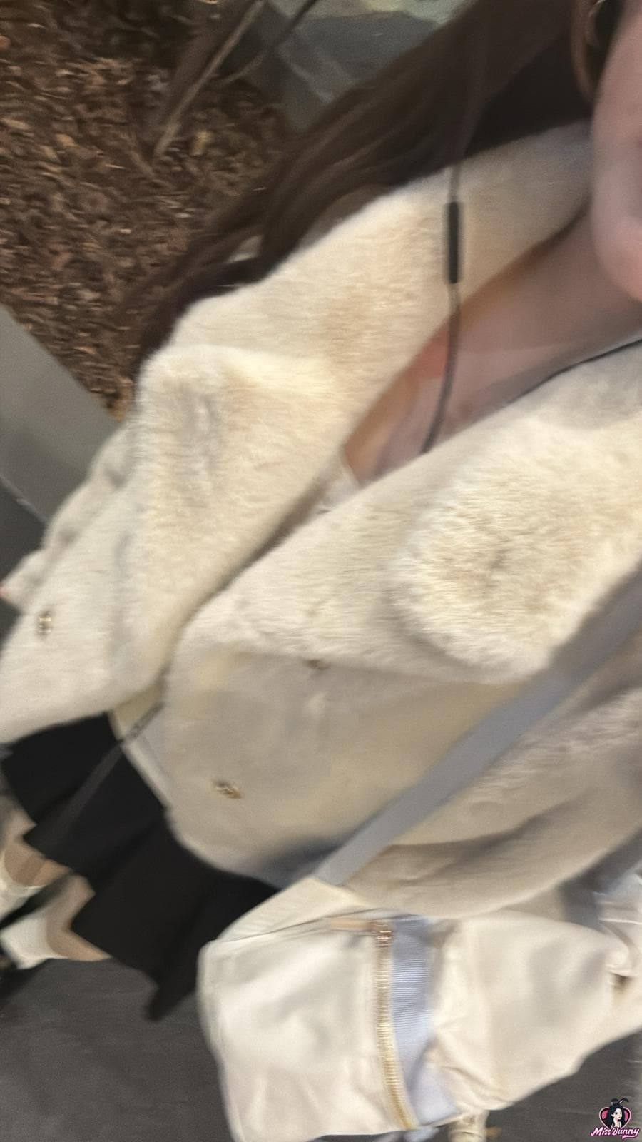 悉尼007