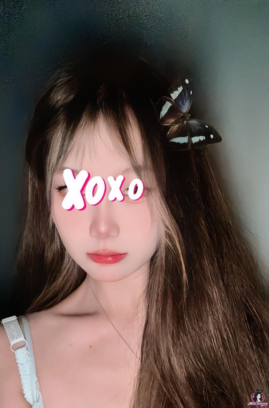 桃桃