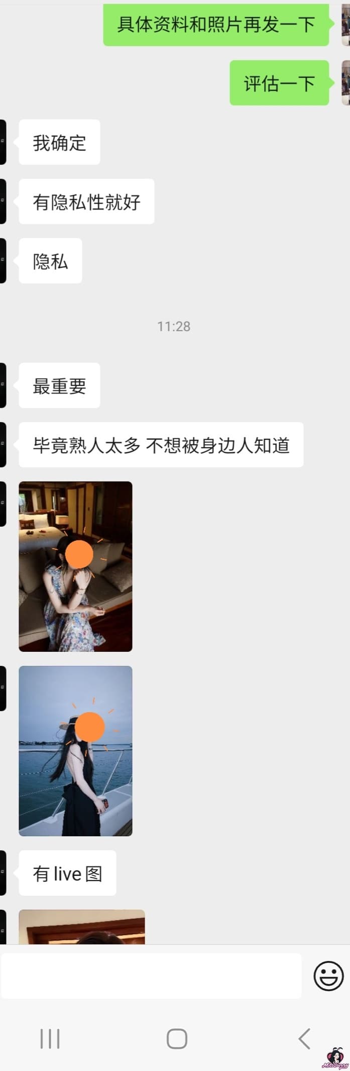 飞儿 3